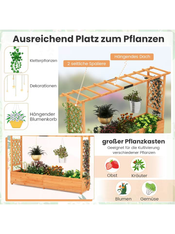 Hochbeet mit Rankgitter 200x44x114cm in Orange