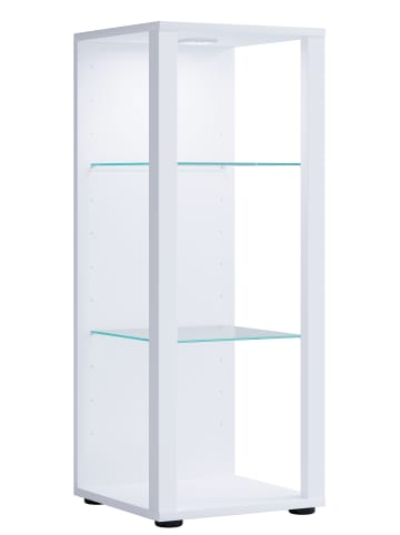 Holz Glas Stand Vitrine Sammelvitrine Glasol M in Weiß