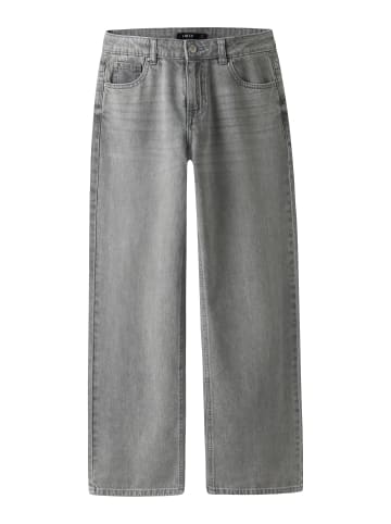 Jeans in Light Grey Denim