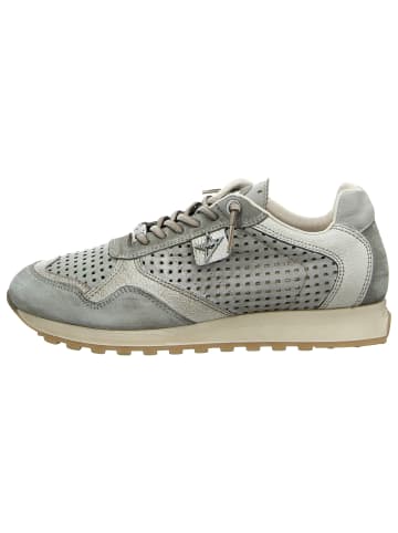 Sneaker Low in grün