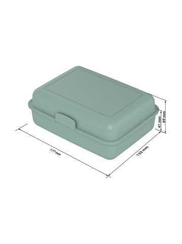 Bio-Vorratsdose "School-Box" in minze - groß