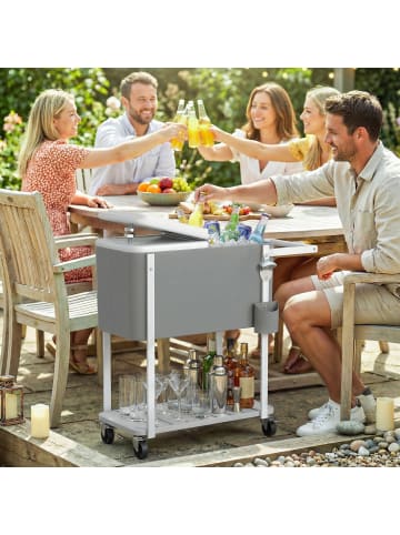 Kühlwagen in Grau 84L x 38B x 83H cm