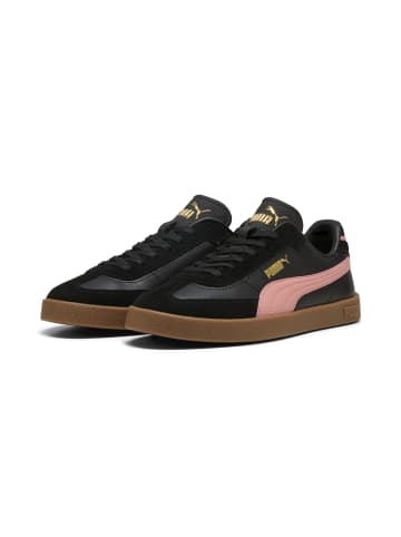 Lowtop-Sneaker Club II Era in puma black-pink fruit-gum