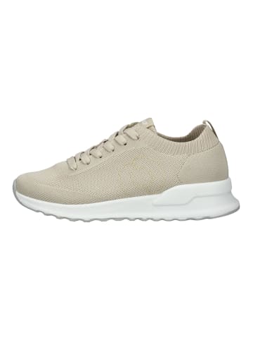 Sneaker Sand