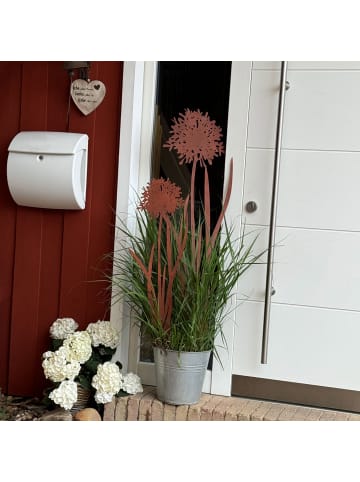 Gartenstecker Stecker Agapanthus 2er Set in Braun