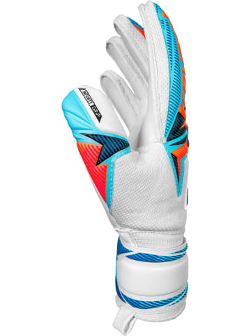 Torwarthandschuhe Attrakt Advance in 1080 white/light blue