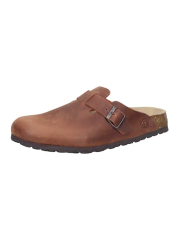 Clogs Nerpio in Braun