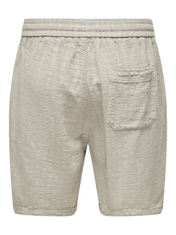 Shorts in Silver Lining