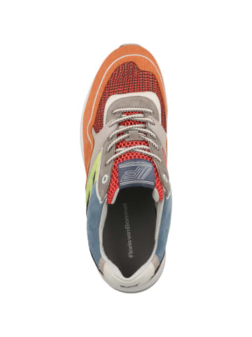 Sneaker low Noppi 29.32 in multicolor