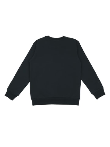 Sweatshirt Pullover-Sweatshirt aus Baumwolle (Bio)