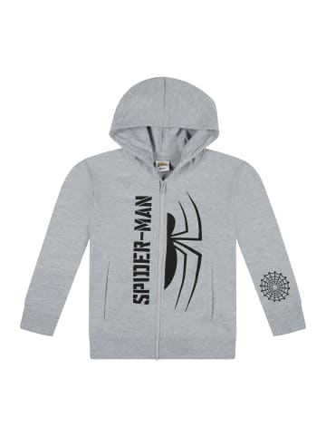 Jacke mit Kapuze und Reißverschluss Spider-Man in Grau