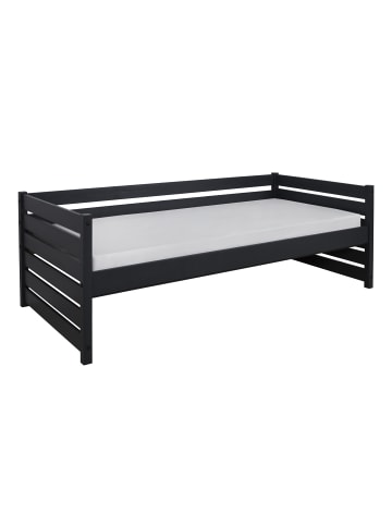 TICAA Sofabett Naomi 90x200, Kiefer massiv in Grau