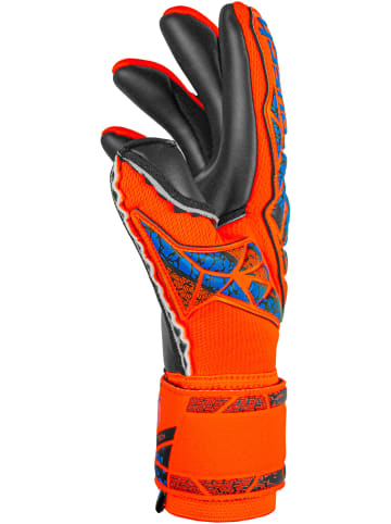 Torwarthandschuh Attrakt Duo in 2211 hyper orng/elec blue/blck