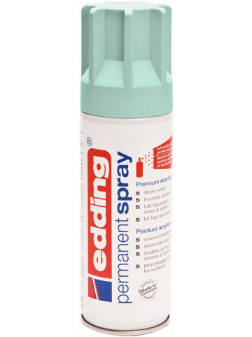 Acryl-Farblack Permanentspray mellow mint