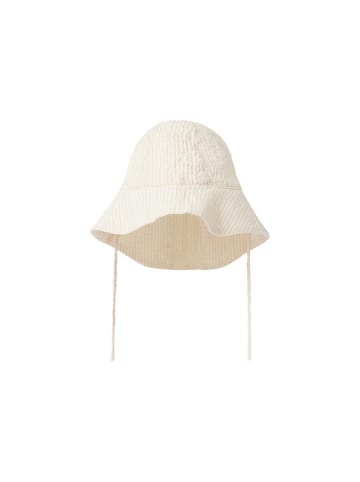 Sonnenhut NBMFEDENIS HAT in humus