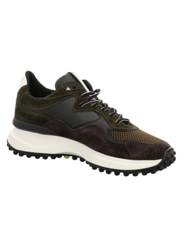 Sneaker in grün