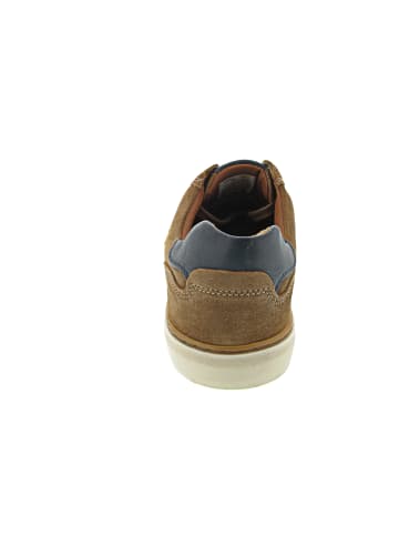 Sneaker low Braun