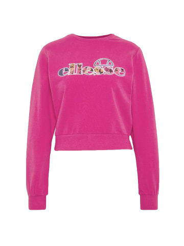 Merc-Sweatshirt Rose