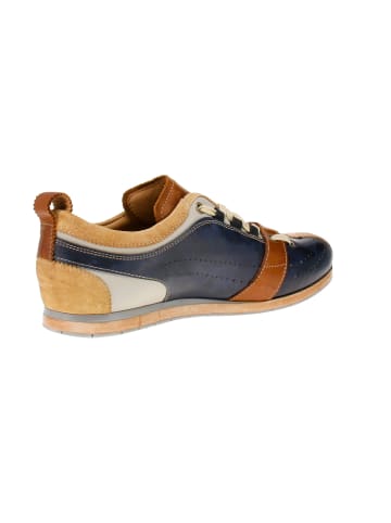 Sneaker low TIFO-017 in Blau