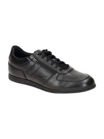 Sportliche Schnürschuhe in Schwarz