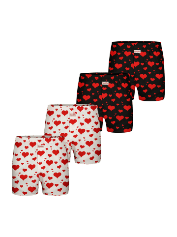 Boxer Valentinstag in Schwarz-Weiß