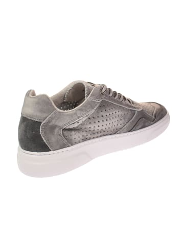 Sneaker low MROCHEDO  in Grau