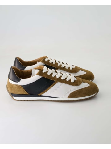 Klassische Schnürschuhe in Braun