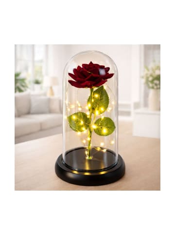 Ewige Rose Glaskuppel LED Rot 21 cm Deko Geschenk