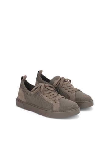 Sneaker Low in Taupe
