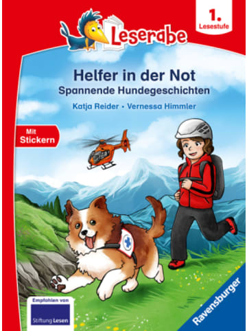 Buch - Leserabe 1. Lesestufe - Helfer in der Not. Spannende Hundegeschichten