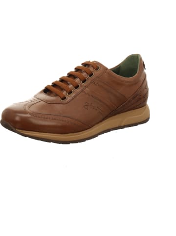 Sneaker in braun