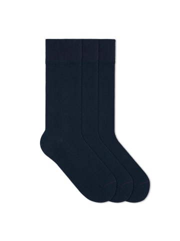 Socken Signature Classics Bundle in 3x Dark Navy