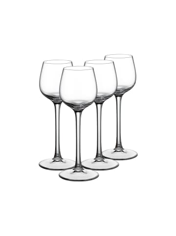 4er Set Grappagläser Purismo Specials in Transparent 50 ml