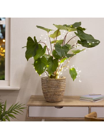LED Lichtbündel mit Draht Pflanzenbeleuchtung L: 40cm in silber
