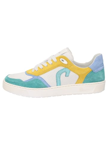 Sneaker Tedroso-DA-702 in mehrfarbig