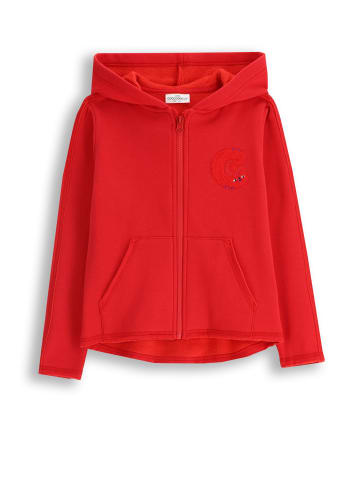 Gefütterte Kapuzenjacke mit Reißverschluss in rot