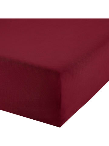 Single-Jersey Boxspring-Spannbettlaken Murnau in weinrot