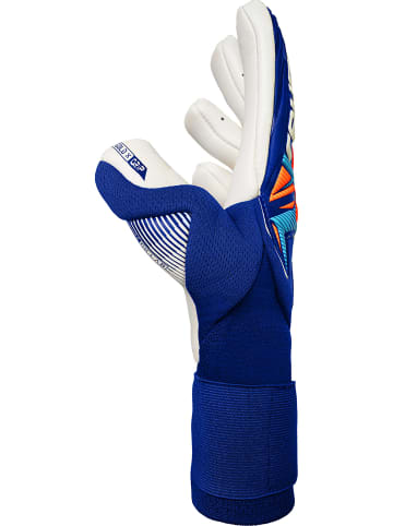 Torwarthandschuhe Attrakt Gold X NC Gravity in 4126 sharp blu/wht/shock orng