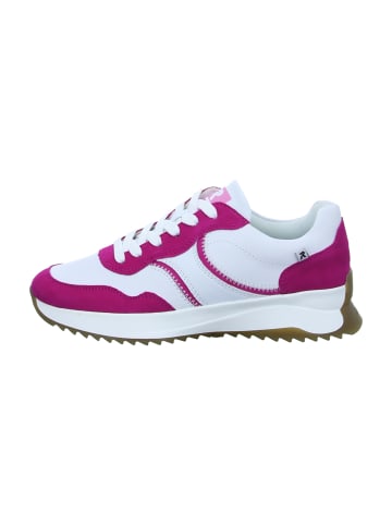 Sneaker Low in Pink