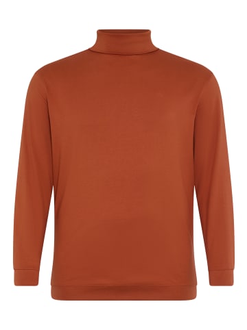 Rollkragenshirt in cognac