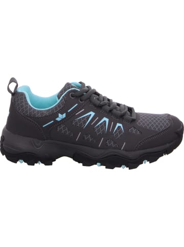 Trekkingschuh in grau