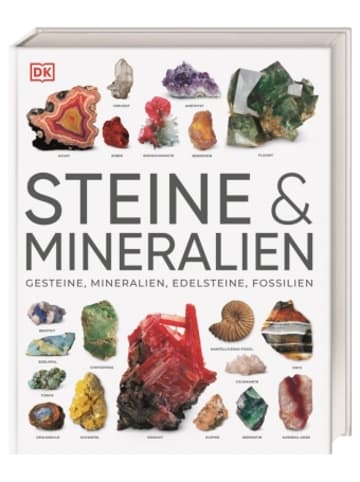 Buch - Steine & Mineralien