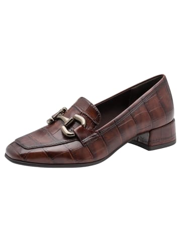 Trotteur in MUSCAT CROCO