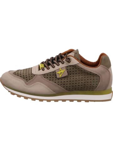 Sneaker in khaki