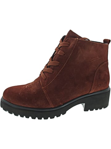 H-Luise Schnürstiefel Braun