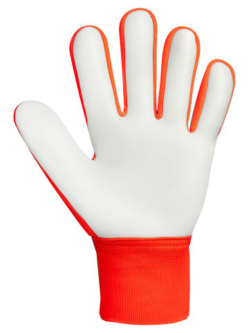 Torwarthandschuhe Attrakt Starter Solid Junior in 2290 shocking orange/blue