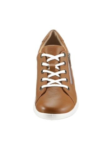 Schnürschuh in cognac