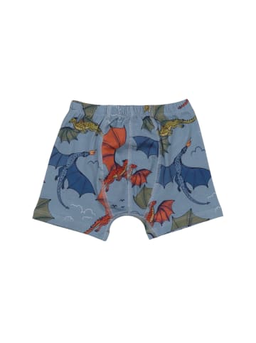 Boxershorts Colorful Dragon-Boxer
