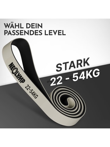 Widerstandsband "HRB430" Stufe 4 in Grau, 22-54 kg