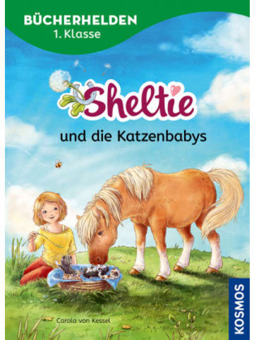Buch - Sheltie, Bücherhelden 1. Klasse, Sheltie und die Katzenbabys